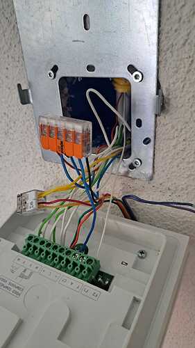 WhatsApp Image 2025-08-25 at 22.13.52