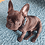 David_F