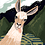 Pixelramp